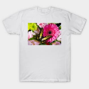 Pink Gerbera With Yellow Black Butterfly T-Shirt